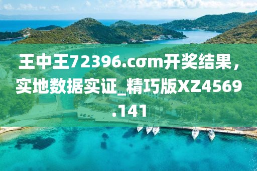王中王72396.cσm开奖结果，实地数据实证_精巧版XZ4569.141