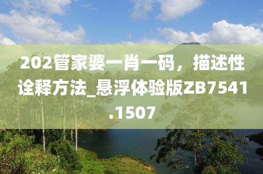 202管家婆一肖一码，描述性诠释方法_悬浮体验版ZB7541.1507
