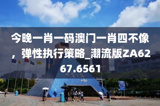 今晚一肖一码澳门一肖四不像，弹性执行策略_潮流版ZA6267.6561