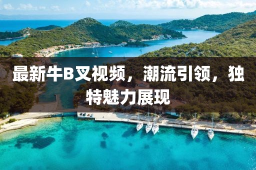 最新牛B叉视频，潮流引领，独特魅力展现