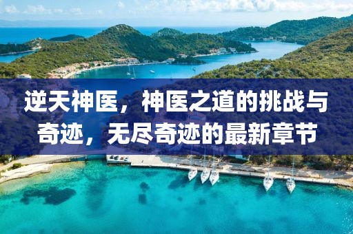 逆天神医，神医之道的挑战与奇迹，无尽奇迹的最新章节