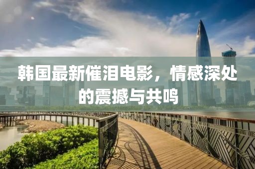 韩国最新催泪电影，情感深处的震撼与共鸣