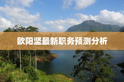 欧阳坚最新职务预测分析