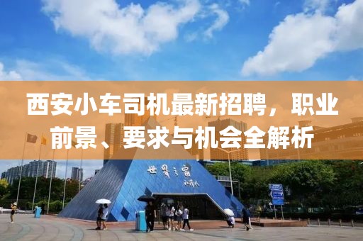 西安小车司机最新招聘，职业前景、要求与机会全解析