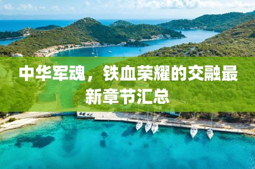 中华军魂，铁血荣耀的交融最新章节汇总