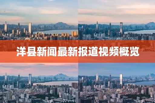 洋县新闻最新报道视频概览