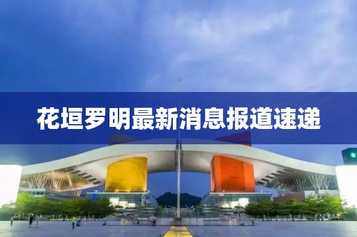 花垣罗明最新消息报道速递