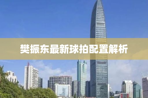 樊振东最新球拍配置解析