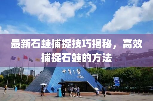 最新石蛙捕捉技巧揭秘，高效捕捉石蛙的方法