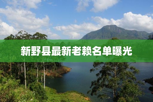 新野县最新老赖名单曝光