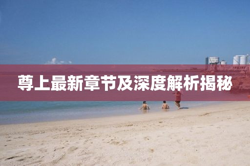 尊上最新章节及深度解析揭秘