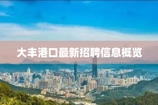 大丰港口最新招聘信息概览