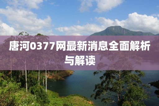 唐河0377网最新消息全面解析与解读