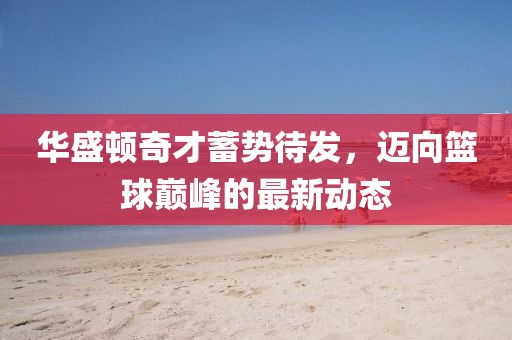华盛顿奇才蓄势待发，迈向篮球巅峰的最新动态