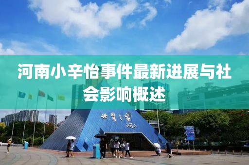 河南小辛怡事件最新进展与社会影响概述
