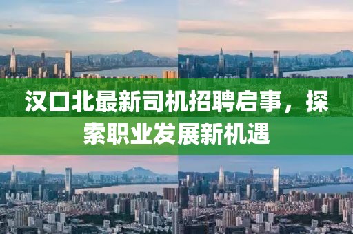 汉口北最新司机招聘启事，探索职业发展新机遇
