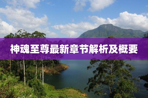 神魂至尊最新章节解析及概要