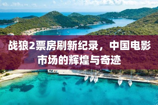 战狼2票房刷新纪录，中国电影市场的辉煌与奇迹
