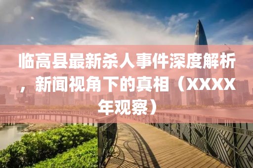 临高县最新杀人事件深度解析，新闻视角下的真相（XXXX年观察）