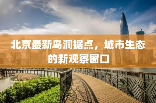 北京最新鸟洞据点，城市生态的新观察窗口