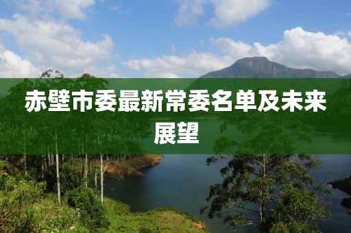 赤壁市委最新常委名单及未来展望