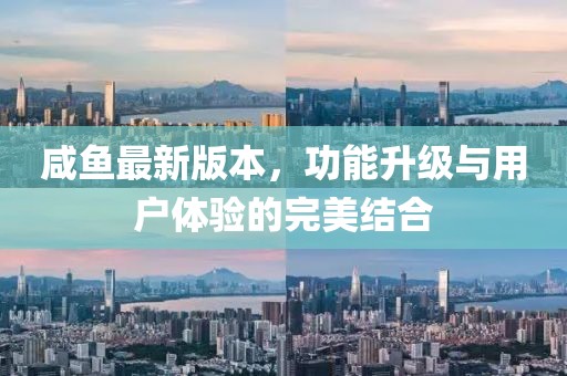 咸鱼最新版本，功能升级与用户体验的完美结合