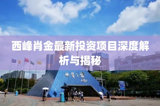 西峰肖金最新投资项目深度解析与揭秘
