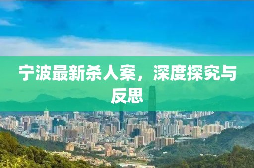 宁波最新杀人案，深度探究与反思