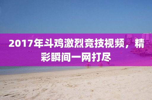2017年斗鸡激烈竞技视频，精彩瞬间一网打尽