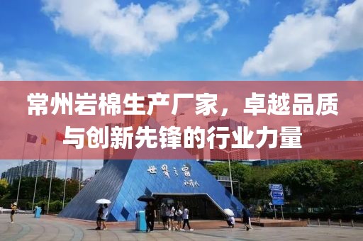 常州岩棉生产厂家，卓越品质与创新先锋的行业力量