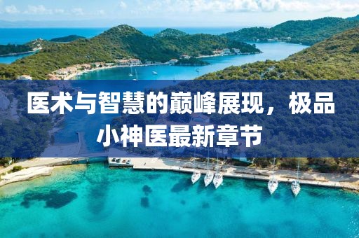 医术与智慧的巅峰展现，极品小神医最新章节
