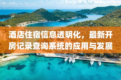 酒店住宿信息透明化，最新开房记录查询系统的应用与发展