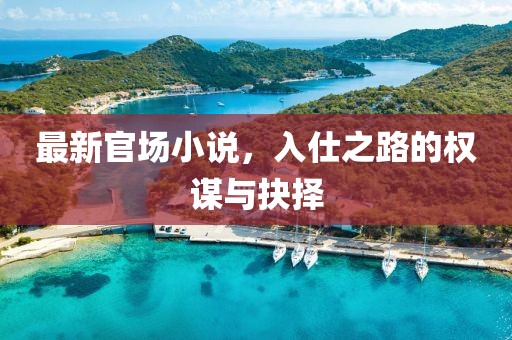 最新官场小说，入仕之路的权谋与抉择
