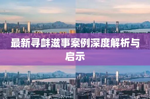 最新寻衅滋事案例深度解析与启示