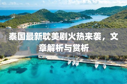 泰国最新耽美剧火热来袭，文章解析与赏析