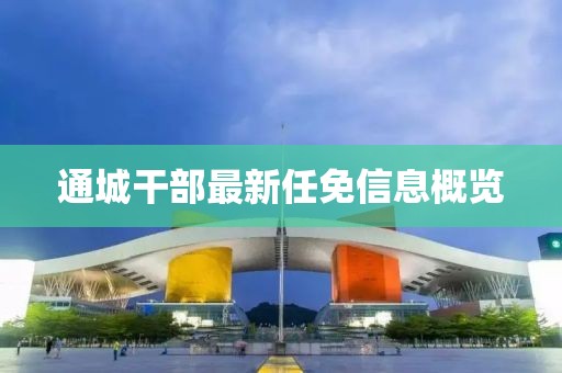 通城干部最新任免信息概览