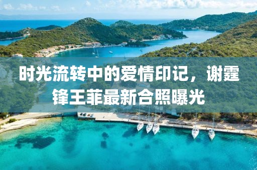 时光流转中的爱情印记，谢霆锋王菲最新合照曝光