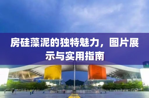 房硅藻泥的独特魅力，图片展示与实用指南