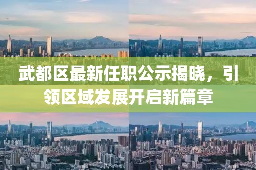 武都区最新任职公示揭晓，引领区域发展开启新篇章