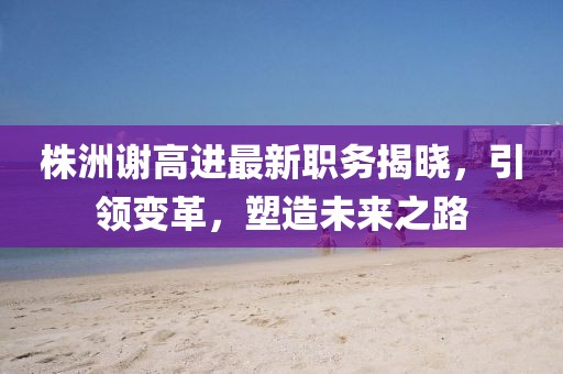 株洲谢高进最新职务揭晓，引领变革，塑造未来之路