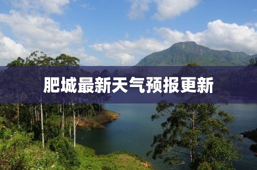肥城最新天气预报更新