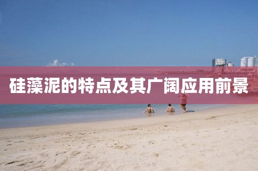硅藻泥的特点及其广阔应用前景
