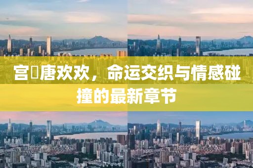 宫洺唐欢欢，命运交织与情感碰撞的最新章节