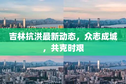 吉林抗洪最新动态，众志成城，共克时艰
