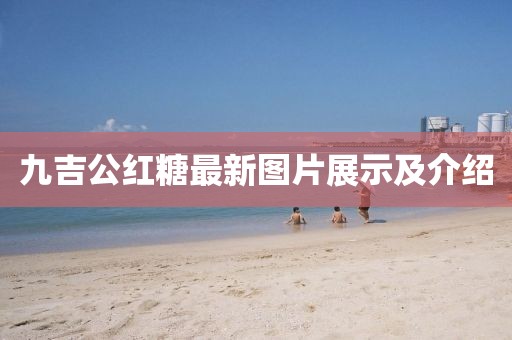 九吉公红糖最新图片展示及介绍