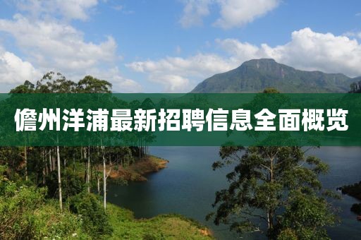儋州洋浦最新招聘信息全面概览