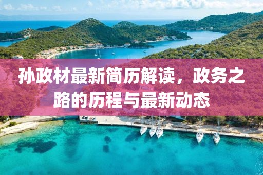 孙政材最新简历解读，政务之路的历程与最新动态