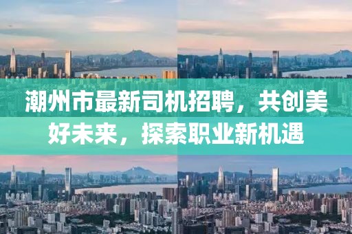 潮州市最新司机招聘，共创美好未来，探索职业新机遇