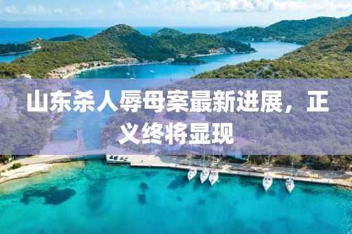 山东杀人辱母案最新进展，正义终将显现