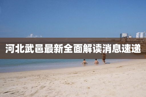 河北武邑最新全面解读消息速递
